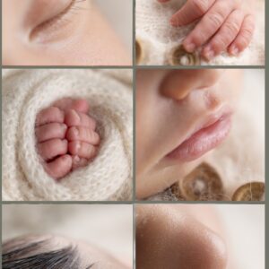 סדנת ניובורן מאקרו 18.12.25