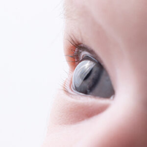 סדנת ניובורן מאקרו 15.06.26